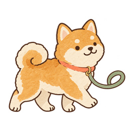 散歩する柴犬